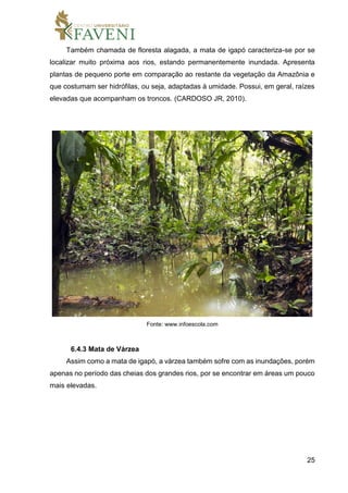 25
Também chamada de floresta alagada, a mata de igapó caracteriza-se por se
localizar muito próxima aos rios, estando permanentemente inundada. Apresenta
plantas de pequeno porte em comparação ao restante da vegetação da Amazônia e
que costumam ser hidrófilas, ou seja, adaptadas à umidade. Possui, em geral, raízes
elevadas que acompanham os troncos. (CARDOSO JR, 2010).
Fonte: www.infoescola.com
6.4.3 Mata de Várzea
Assim como a mata de igapó, a várzea também sofre com as inundações, porém
apenas no período das cheias dos grandes rios, por se encontrar em áreas um pouco
mais elevadas.
 
