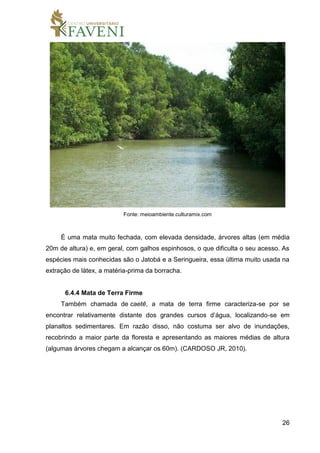 26
Fonte: meioambiente.culturamix.com
É uma mata muito fechada, com elevada densidade, árvores altas (em média
20m de altura) e, em geral, com galhos espinhosos, o que dificulta o seu acesso. As
espécies mais conhecidas são o Jatobá e a Seringueira, essa última muito usada na
extração de látex, a matéria-prima da borracha.
6.4.4 Mata de Terra Firme
Também chamada de caetê, a mata de terra firme caracteriza-se por se
encontrar relativamente distante dos grandes cursos d’água, localizando-se em
planaltos sedimentares. Em razão disso, não costuma ser alvo de inundações,
recobrindo a maior parte da floresta e apresentando as maiores médias de altura
(algumas árvores chegam a alcançar os 60m). (CARDOSO JR, 2010).
 