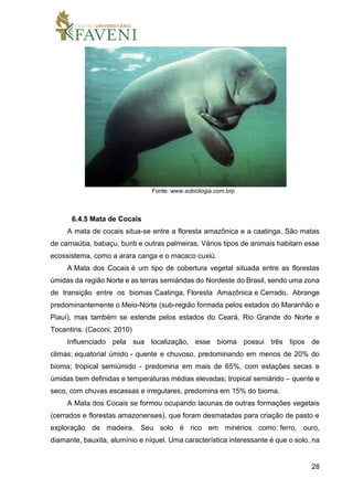 28
Fonte: www.sobiologia.com.brp
6.4.5 Mata de Cocais
A mata de cocais situa-se entre a floresta amazônica e a caatinga. São matas
de carnaúba, babaçu, buriti e outras palmeiras. Vários tipos de animais habitam esse
ecossistema, como a arara canga e o macaco cuxiú.
A Mata dos Cocais é um tipo de cobertura vegetal situada entre as florestas
úmidas da região Norte e as terras semiáridas do Nordeste do Brasil, sendo uma zona
de transição entre os biomas Caatinga, Floresta Amazônica e Cerrado. Abrange
predominantemente o Meio-Norte (sub-região formada pelos estados do Maranhão e
Piauí), mas também se estende pelos estados do Ceará, Rio Grande do Norte e
Tocantins. (Ceconi, 2010)
Influenciado pela sua localização, esse bioma possui três tipos de
climas: equatorial úmido - quente e chuvoso, predominando em menos de 20% do
bioma; tropical semiúmido - predomina em mais de 65%, com estações secas e
úmidas bem definidas e temperaturas médias elevadas; tropical semiárido – quente e
seco, com chuvas escassas e irregulares, predomina em 15% do bioma.
A Mata dos Cocais se formou ocupando lacunas de outras formações vegetais
(cerrados e florestas amazonenses), que foram desmatadas para criação de pasto e
exploração de madeira. Seu solo é rico em minérios como: ferro, ouro,
diamante, bauxita, alumínio e níquel. Uma característica interessante é que o solo, na
 