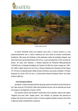 32
Fonte: www.vix.com
O bioma Pantanal conta com apenas cinco UCs, o menor número e o que
proporcionalmente tem a menor cobertura por UCs entre os biomas continentais
brasileiros. São duas UCs federais e três estaduais, todas de proteção integral, cuja
área total soma aproximadamente 440 mil ha, o que corresponde a 2,9% da área do
bioma. As duas UCs federais, o Parque Nacional do Pantanal Mato-grossense
(135.600 ha) e a Estação Ecológica do Taiamã (14.300 ha), foram criadas em 1981.
Em 2000 o Mato Grosso do Sul criou o Parque Estadual do Pantanal do Rio Negro
(77 mil ha) e na década atual o Mato Grosso constituiu suas duas unidades, o Parque
Estadual do Guirá (103 mil ha) e o Monumento Natural Estadual Morro de Santo
Antônio (258 ha).
6.4.8 Campos Sulinos
No Brasil, o bioma Campos Sulinos abrange parte do território do Rio Grande do
Sul. São cerca de 170 mil Km2. Além das fronteiras do país, ele se estende por terras
do Uruguai e da Argentina. (Ceconi, 2010)
Os campos sulinos são também conhecidos como pampas, palavra de origem
indígena que quer dizer “região plana”. Na verdade, os pampas são apenas um
pedaço das terras dos campos sulinos. O bioma engloba também campos mais altos
e algumas áreas semelhantes a savanas.
 