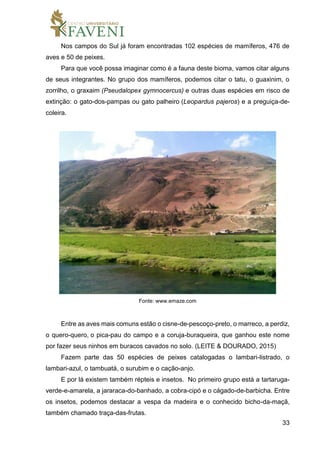 33
Nos campos do Sul já foram encontradas 102 espécies de mamíferos, 476 de
aves e 50 de peixes.
Para que você possa imaginar como é a fauna deste bioma, vamos citar alguns
de seus integrantes. No grupo dos mamíferos, podemos citar o tatu, o guaxinim, o
zorrilho, o graxaim (Pseudalopex gymnocercus) e outras duas espécies em risco de
extinção: o gato-dos-pampas ou gato palheiro (Leopardus pajeros) e a preguiça-de-
coleira.
Fonte: www.emaze.com
Entre as aves mais comuns estão o cisne-de-pescoço-preto, o marreco, a perdiz,
o quero-quero, o pica-pau do campo e a coruja-buraqueira, que ganhou este nome
por fazer seus ninhos em buracos cavados no solo. (LEITE & DOURADO, 2015)
Fazem parte das 50 espécies de peixes catalogadas o lambari-listrado, o
lambari-azul, o tambuatá, o surubim e o cação-anjo.
E por lá existem também répteis e insetos. No primeiro grupo está a tartaruga-
verde-e-amarela, a jararaca-do-banhado, a cobra-cipó e o cágado-de-barbicha. Entre
os insetos, podemos destacar a vespa da madeira e o conhecido bicho-da-maçã,
também chamado traça-das-frutas.
 