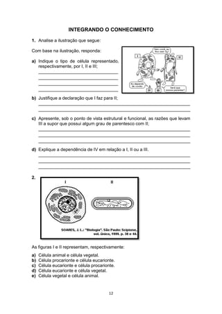 12
INTEGRANDO O CONHECIMENTO
1. Analise a ilustração que segue:
Com base na ilustração, responda:
a) Indique o tipo de célula representado,
respectivamente, por I, II e III;
________________________________
________________________________
________________________________
________________________________
b) Justifique a declaração que I faz para II;
_____________________________________________________________
_____________________________________________________________
c) Apresente, sob o ponto de vista estrutural e funcional, as razões que levam
III a supor que possui algum grau de parentesco com II;
_____________________________________________________________
_____________________________________________________________
_____________________________________________________________
d) Explique a dependência de IV em relação a I, II ou a III.
_____________________________________________________________
_____________________________________________________________
_____________________________________________________________
2.
As figuras I e II representam, respectivamente:
a) Célula animal e célula vegetal.
b) Célula procarionte e célula eucarionte.
c) Célula eucarionte e célula procarionte.
d) Célula eucarionte e célula vegetal.
e) Célula vegetal e célula animal.
 