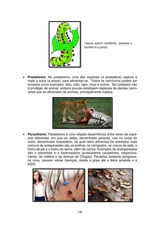 138
 Predatismo: No predatismo, uma das espécies (a predadora) captura e
mata a outra (a presa), para alimentar-se. Todos os carnívoros podem ser
tomados como exemplos: leão, lobo, tigre, onça e outros. Ser predador não
é privilégio de animal, embora poucas existissem espécies de plantas carní-
voras que se alimentam de animais, principalmente insetos.
 Parasitismo: Parasitismo é uma relação desarmônica entre seres de espé-
cies diferentes, em que um deles, denominado parasita, vive no corpo do
outro, denominado hospedeiro, do qual retira alimentos.Os exemplos mais
comuns de ectoparasitas são os piolhos, os carrapatos, os cravos da pele, o
bicho-de-pé e o bicho da sarna, além de outros. Exemplos de endoparasitas
são o plasmódio e o tripanossomo (protozoários causadores, respectiva-
mente, da malária e da doença de Chagas). Parasitas bastante perigosos,
os vírus, causam várias doenças, desde a gripe até a febre amarela e a
AIDS.
Taenia solium (solitária): parasita o
homem e o porco
 