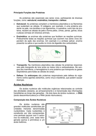 23
Principais Funções das Proteínas
As proteínas são essenciais aos seres vivos, participando de diversas
funções, como: estrutural, enzimática, transporte e defesa.
 Estrutural: As proteínas compõem a membrana plasmática e os filamentos
que sustentam as células. O colágeno, por exemplo, é uma proteína pre-
sente na pele, nos tendões e nos ligamentos. A queratina, outro tipo de pro-
teína, recobre as células da pele e forma pelos, unhas, penas, garras, bicos
e placas córneas em diversos animais.
 Enzimática: as enzimas são proteínas que facilitam as reações químicas.
Praticamente todas as reações químicas que ocorrem nos seres vivos de-
pendem da ação das enzimas. Um exemplo é a amilase salivar, enzima
presente na saliva e que auxilia no início da digestão dos carboidratos.
 Transporte: Na membrana plasmática das células há proteínas responsá-
veis pelo transporte de íons entre os meios intra e extracelulares. No san-
gue dos mamíferos, a hemoglobina é uma proteína que transporta os gases
respiratórios para todas as células do corpo.
 Defesa: Os anticorpos são proteínas responsáveis pela defesa do orga-
nismo contra agentes estranhos, como vírus e bactérias, que podem causar
doenças.
Ácidos Nucleicos
Os ácidos nucleicos são moléculas orgânicas relacionadas ao controle
das atividades celulares, ao armazenamento e à transmissão das informações
hereditárias ao longo das gerações . Há dois tipos de ácidos nucleicos , o DNA
(ácido desoxirribonucleico) e o RNA (ácido ribonucleico).
Composição dos Ácidos Nucleicos
Os ácidos nucleicos são
grandes moléculas constituídas por
unidades menores denominadas
nucleotídeos. Cada nucleotídeo é
constituído por três componentes:
uma pentose (açúcar com 5 carbo-
nos na molécula), uma base nitro-
genada (púrica e pirimídica) e um
ácido fosfórico.
 