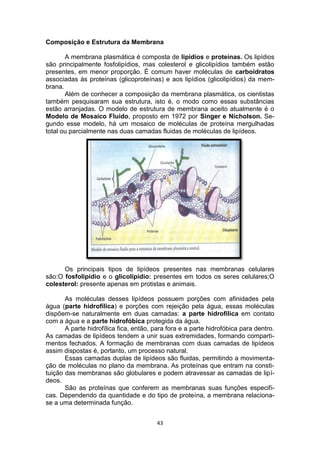 43
Composição e Estrutura da Membrana
A membrana plasmática é composta de lipídios e proteínas. Os lipídios
são principalmente fosfolipídios, mas colesterol e glicolipídios também estão
presentes, em menor proporção. É comum haver moléculas de carboidratos
associadas às proteínas (glicoproteínas) e aos lipídios (glicolipídios) da mem-
brana.
Além de conhecer a composição da membrana plasmática, os cientistas
também pesquisaram sua estrutura, isto é, o modo como essas substâncias
estão arranjadas. O modelo de estrutura de membrana aceito atualmente é o
Modelo de Mosaico Fluido, proposto em 1972 por Singer e Nicholson. Se-
gundo esse modelo, há um mosaico de moléculas de proteína mergulhadas
total ou parcialmente nas duas camadas fluidas de moléculas de lipídeos.
Os principais tipos de lipídeos presentes nas membranas celulares
são:O fosfolipídio e o glicolipídio: presentes em todos os seres celulares;O
colesterol: presente apenas em protistas e animais.
As moléculas desses lipídeos possuem porções com afinidades pela
água (parte hidrofílica) e porções com rejeição pela água, essas moléculas
dispõem-se naturalmente em duas camadas: a parte hidrofílica em contato
com a água e a parte hidrofóbica protegida da água.
A parte hidrofílica fica, então, para fora e a parte hidrofóbica para dentro.
As camadas de lipídeos tendem a unir suas extremidades, formando comparti-
mentos fechados. A formação de membranas com duas camadas de lipídeos
assim dispostas é, portanto, um processo natural.
Essas camadas duplas de lipídeos são fluidas, permitindo a movimenta-
ção de moléculas no plano da membrana. As proteínas que entram na consti-
tuição das membranas são globulares e podem atravessar as camadas de lipí-
deos.
São as proteínas que conferem as membranas suas funções especifi-
cas. Dependendo da quantidade e do tipo de proteína, a membrana relaciona-
se a uma determinada função.
 