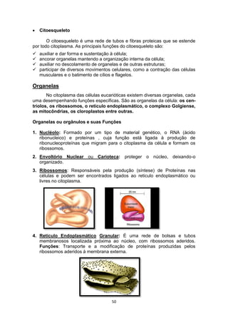50
 Citoesqueleto
O citoesqueleto é uma rede de tubos e fibras proteicas que se estende
por todo citoplasma. As principais funções do citoesqueleto são:
 auxiliar e dar forma e sustentação à célula;
 ancorar organelas mantendo a organização interna da célula;
 auxiliar no descolamento de organelas e de outras estruturas;
 participar de diversos movimentos celulares, como a contração das células
musculares e o batimento de cílios e flagelos.
Organelas
No citoplasma das células eucarióticas existem diversas organelas, cada
uma desempenhando funções específicas. São as organelas da célula: os cen-
tríolos, os ribossomos, o retículo endoplasmático, o complexo Golgiense,
as mitocôndrias, os cloroplastos entre outras.
Organelas ou orgânulos e suas Funções
1. Nucléolo: Formado por um tipo de material genético, o RNA (ácido
ribonucleico) e proteínas , cuja função está ligada à produção de
ribonucleoproteínas que migram para o citoplasma da célula e formam os
ribossomos.
2. Envoltório Nuclear ou Carioteca: proteger o núcleo, deixando-o
organizado.
3. Ribossomos: Responsáveis pela produção (síntese) de Proteínas nas
células e podem ser encontrados ligados ao reticulo endoplasmático ou
livres no citoplasma.
4. Retículo Endoplasmático Granular: É uma rede de bolsas e tubos
membranosos localizada próxima ao núcleo, com ribossomos aderidos.
Funções: Transporte e a modificação de proteínas produzidas pelos
ribossomos aderidos à membrana externa.
 