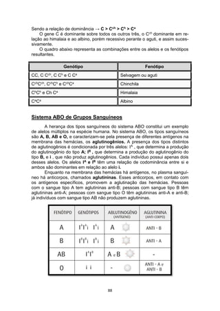 88
Sendo a relação de dominância → C > Cch > Ch > Ca
O gene C é dominante sobre todos os outros três, o Cch dominante em re-
lação ao himalaia e ao albino, porém recessivo perante o aguti, e assim suces-
sivamente.
O quadro abaixo representa as combinações entre os alelos e os fenótipos
resultantes.
Genótipo Fenótipo
CC, C Cch, C Ch e C Ca Selvagem ou aguti
CchCch, CchCh e CchCa Chinchila
ChCh e Ch Ca Himalaia
CaCa Albino
Sistema ABO de Grupos Sanguíneos
A herança dos tipos sanguíneos do sistema ABO constitui um exemplo
de alelos múltiplos na espécie humana. No sistema ABO, os tipos sanguíneos
são A, B, AB e O, e caracterizam-se pela presença de diferentes antígenos na
membrana das hemácias, os aglutinogênios. A presença dos tipos distintos
de aglutinogênios é condicionada por três alelos: IA , que determina a produção
do aglutinogênio do tipo A; IB , que determina a produção do aglutinogênio do
tipo B, e i , que não produz aglutinogênios. Cada indivíduo possui apenas dois
desses alelos. Os alelos IA e IB têm uma relação de codominância entre si e
ambos são dominantes em relação ao alelo i.
Enquanto na membrana das hemácias há antígenos, no plasma sanguí-
neo há anticorpos, chamados aglutininas. Esses anticorpos, em contato com
os antígenos específicos, promovem a aglutinação das hemácias. Pessoas
com o sangue tipo A tem aglutininas anti-B; pessoas com sangue tipo B têm
aglutininas anti-A; pessoas com sangue tipo O têm aglutininas anti-A e anti-B;
já indivíduos com sangue tipo AB não produzem aglutininas.
 