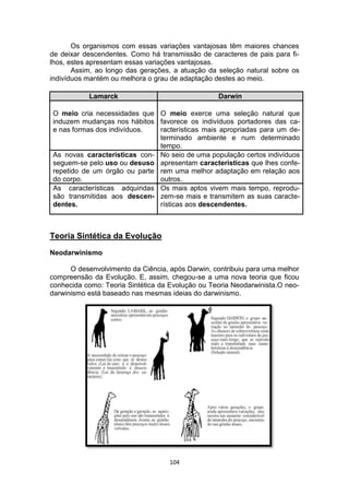 104
Os organismos com essas variações vantajosas têm maiores chances
de deixar descendentes. Como há transmissão de caracteres de pais para fi-
lhos, estes apresentam essas variações vantajosas.
Assim, ao longo das gerações, a atuação da seleção natural sobre os
indivíduos mantém ou melhora o grau de adaptação destes ao meio.
Teoria Sintética da Evolução
Neodarwinismo
O desenvolvimento da Ciência, após Darwin, contribuiu para uma melhor
compreensão da Evolução. E, assim, chegou-se a uma nova teoria que ficou
conhecida como: Teoria Sintética da Evolução ou Teoria Neodarwinista.O neo-
darwinismo está baseado nas mesmas ideias do darwinismo.
Lamarck Darwin
O meio cria necessidades que
induzem mudanças nos hábitos
e nas formas dos indivíduos.
O meio exerce uma seleção natural que
favorece os indivíduos portadores das ca-
racterísticas mais apropriadas para um de-
terminado ambiente e num determinado
tempo.
As novas características con-
seguem-se pelo uso ou desuso
repetido de um órgão ou parte
do corpo.
No seio de uma população certos indivíduos
apresentam características que lhes confe-
rem uma melhor adaptação em relação aos
outros.
As características adquiridas
são transmitidas aos descen-
dentes.
Os mais aptos vivem mais tempo, reprodu-
zem-se mais e transmitem as suas caracte-
rísticas aos descendentes.
 