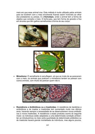 107
meio em que esse animal vive. Este método é muito utilizado pelos animais
para se fundirem com o meio envolvente ficando assim invisíveis ao olhar
dos predadores ou presas. E a Homotipia, onde o animal tem a forma de
objetos que compõe o meio. O bicho-pau, que tem forma de graveto e fica
em árvores que têm galhos semelhantes à forma de seu corpo.
 Mimetismo: É semelhante à camuflagem, só que ao invés de se parecerem
com o meio, os animais que praticam o mimetismo tentam se parecer com
outros animais, com intuito de parecer quem não é.
 Resistência a Antibióticos ou a Inseticidas: A resistência de bactérias a
antibióticos e de insetos a inseticidas tem aumentado muito nos últimos
anos, havendo sempre a necessidade de se desenvolverem novos antibióti-
cos e novos inseticidas. A resistência a esses produtos ocorre do seguinte
modo: os indivíduos estão adaptados a uma determinada condição ambien-
tal; se introduzirmos no meio certa quantidade de determinado antibiótico ou
de inseticida haverá grande mortalidade de indivíduos, mas alguns poucos,
 