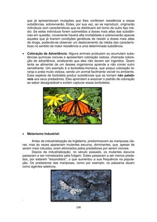 108
que já apresentavam mutações que lhes conferiam resistência a essas
substâncias, sobreviverão. Estes, por sua vez, ao se reproduzir, originarão
indivíduos com características que se distribuem em torno de outro tipo mé-
dio. Se estes indivíduos forem submetidos a doses mais altas das substân-
cias em questão, novamente haverá alta mortalidade e sobreviverão apenas
aqueles que já tiverem condições genéticas de resistir a doses mais altas
de droga, podendo-se observar um deslocamento da média das caracterís-
ticas no sentido da maior resistência a uma determinada substância.
 Coloração de Advertência: Alguns animais produzem ou acumulam subs-
tâncias químicas nocivas e apresentam coloração vistosa, chamada colora-
ção de advertência, sinalizando que eles não devem ser ingeridos. Quem
tenta se alimentar de um desses organismos aprende a não comer outro
semelhante. Um exemplo é a borboleta-monarca, que possui coloração la-
ranja e preta muito vistosa, sendo um animal facilmente visível no ambiente.
Essa espécie de borboleta produz substâncias que as tornam não palatá-
veis aos seus predadores. Eles aprendem a associar o padrão de coloração
ao sabor desagradável e evitam capturar essas borboletas.
 Melanismo Industrial:
Antes da industrialização da Inglaterra, predominavam as mariposas cla-
ras; mas às vezes apareciam mutantes escuros, dominantes, que, apesar de
serem mais robustos, eram eliminados pelos predadores por serem visíveis.
Depois da industrialização, no século passado, os mutantes escuros
passaram a ser mimetizados pela fuligem. Estes passaram a ser menos preda-
dos, por estarem "escondidos", o que aumentou a sua frequência na popula-
ção. Os predadores das mariposas, como por exemplo, os pássaros atuam
como agentes seletivos.
.
 