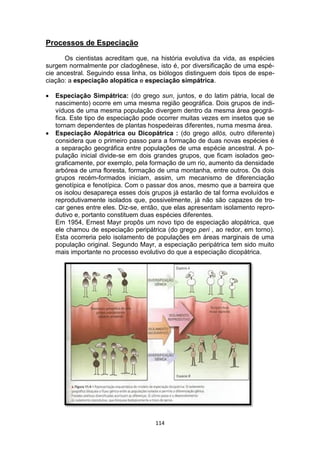 114
Processos de Especiação
Os cientistas acreditam que, na história evolutiva da vida, as espécies
surgem normalmente por cladogênese, isto é, por diversificação de uma espé-
cie ancestral. Seguindo essa linha, os biólogos distinguem dois tipos de espe-
ciação: a especiação alopática e especiação simpátrica.
 Especiação Simpátrica: (do grego sun, juntos, e do latim pátria, local de
nascimento) ocorre em uma mesma região geográfica. Dois grupos de indi-
víduos de uma mesma população divergem dentro da mesma área geográ-
fica. Este tipo de especiação pode ocorrer muitas vezes em insetos que se
tornam dependentes de plantas hospedeiras diferentes, numa mesma área.
 Especiação Alopátrica ou Dicopátrica : (do grego allós, outro diferente)
considera que o primeiro passo para a formação de duas novas espécies é
a separação geográfica entre populações de uma espécie ancestral. A po-
pulação inicial divide-se em dois grandes grupos, que ficam isolados geo-
graficamente, por exemplo, pela formação de um rio, aumento da densidade
arbórea de uma floresta, formação de uma montanha, entre outros. Os dois
grupos recém-formados iniciam, assim, um mecanismo de diferenciação
genotípica e fenotípica. Com o passar dos anos, mesmo que a barreira que
os isolou desapareça esses dois grupos já estarão de tal forma evoluídos e
reprodutivamente isolados que, possivelmente, já não são capazes de tro-
car genes entre eles. Diz-se, então, que elas apresentam isolamento repro-
dutivo e, portanto constituem duas espécies diferentes.
Em 1954, Ernest Mayr propôs um novo tipo de especiação alopátrica, que
ele chamou de especiação peripátrica (do grego peri , ao redor, em torno).
Esta ocorreria pelo isolamento de populações em áreas marginais de uma
população original. Segundo Mayr, a especiação peripátrica tem sido muito
mais importante no processo evolutivo do que a especiação dicopátrica.
 