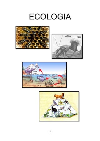 124
ECOLOGIA
 