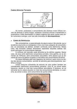 130
Cadeia Alimentar Terrestre
Ao morrer, produtores e consumidores dos diversos níveis tróficos ser-
vem de alimento a certos fungos, bactérias e diversos animais invertebrados e
protozoários. Estes decompõem a matéria orgânica dos seres mortos para ob-
ter nutrientes e energia, e por isso são chamados de decompositores.
 Cadeia de Detritívoros
Nos ecossistemas, a especialização de alguns seres é tão grande, que a
tendência atual entre os ecologistas é criar uma nova categoria de consumido-
res: os comedores de detritos, também conhecido como detritívoros. Nesse
caso, são formadas cadeias alimentares separadas daquelas cadeias das
quais participam os consumidores habituais.
A minhoca, por exemplo, pode alimentar-se de detritos vegetais. Nesse
caso, ela atua como detritívora consumidora primária. Uma galinha, ao se ali-
mentar de minhocas, será consumidora secundária. Uma pessoa que se ali-
menta da carne da galinha ocupará o nível trófico dos consumidores terciários.
Os restos liberados pelo tubo digestório da minhoca, assim como os res-
tos dos demais consumidores, servirão de alimento para decompositores, bac-
térias e fungos.
Certos besouros comedores de estrume de vaca podem também ser
considerados detritívoros consumidores primários. Uma rã, ao comer esses
besouros, atuará no nível dos consumidores secundários. A jararaca, ao se
alimentar da rã, estará atuando no nível dos consumidores terciários, e a seri-
ema, ao comer a cobra, será consumidora de quarta ordem.
 