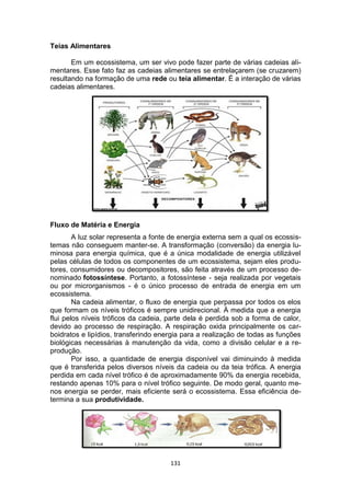 131
Teias Alimentares
Em um ecossistema, um ser vivo pode fazer parte de várias cadeias ali-
mentares. Esse fato faz as cadeias alimentares se entrelaçarem (se cruzarem)
resultando na formação de uma rede ou teia alimentar. É a interação de várias
cadeias alimentares.
Fluxo de Matéria e Energia
A luz solar representa a fonte de energia externa sem a qual os ecossis-
temas não conseguem manter-se. A transformação (conversão) da energia lu-
minosa para energia química, que é a única modalidade de energia utilizável
pelas células de todos os componentes de um ecossistema, sejam eles produ-
tores, consumidores ou decompositores, são feita através de um processo de-
nominado fotossíntese. Portanto, a fotossíntese - seja realizada por vegetais
ou por microrganismos - é o único processo de entrada de energia em um
ecossistema.
Na cadeia alimentar, o fluxo de energia que perpassa por todos os elos
que formam os níveis tróficos é sempre unidirecional. À medida que a energia
flui pelos níveis tróficos da cadeia, parte dela é perdida sob a forma de calor,
devido ao processo de respiração. A respiração oxida principalmente os car-
boidratos e lipídios, transferindo energia para a realização de todas as funções
biológicas necessárias à manutenção da vida, como a divisão celular e a re-
produção.
Por isso, a quantidade de energia disponível vai diminuindo à medida
que é transferida pelos diversos níveis da cadeia ou da teia trófica. A energia
perdida em cada nível trófico é de aproximadamente 90% da energia recebida,
restando apenas 10% para o nível trófico seguinte. De modo geral, quanto me-
nos energia se perder, mais eficiente será o ecossistema. Essa eficiência de-
termina a sua produtividade.
 