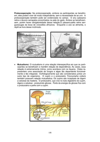 136
Protocooperação: Na protocooperação, embora os participantes se benefici-
em, eles podem viver de modo independente, sem a necessidade de se unir. A
protocooperação também pode ser evidenciada no campo. O anu (pássaro)
retira e devora carrapatos encontrados na pele do gado. Ambos se beneficiam,
sem, porém haver obrigatoriedade dessa relação.O pássaro-palito retira san-
guessugas da boca de crocodilos africanos. Enquanto a ave se alimenta, o
réptil se livra desse incômodo.
 Mutualismo: O mutualismo é uma relação interespecífica em que os parti-
cipantes se beneficiam e mantêm relação de dependência. Às vezes, essa
relação é extremamente íntima, como acontece com os liquens. Estes re-
presentam uma associação de fungos e algas tão dependente funcional-
mente e tão integrada morfologicamente que são considerados juntos um
outro tipo de organismo. O cupim e o protozoário Triconympha collaris
também possuem relação mutualística. Os cupins são incapazes de digerir
a celulose da madeira. O protozoário, que vive no tubo digestório do cupim,
digere a celulose , produzindo glicose. Parte da energia da glicose fica com
o protozoário e parte com o cupim.
 