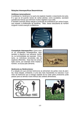137
Relações Interespecíficas Desarmônicas
Antibiose (amensalismo)
A antibiose é o fenômeno no qual uma espécie impede o crescimento de outra.
É o que se vê quando raízes de certas plantas, como eucaliptos, secretam
substâncias tóxicas que eliminam muitos vegetais à sua volta.
É também exemplo dessa relação à produção de antibióticos por certos fungos,
que impede a proliferação de bactérias. Aliás, dessa descoberta do homem
surgiram muitos avanços na Medicina.
Competição Interespecífica: Como ocor-
re na competição intraespecífica, aqui,
também a disputa é por alimento, territó-
rio, ou luminosidade, por exemplo. Entre-
tanto, os indivíduos envolvidos são de
espécies diferentes. Esse tipo de compe-
tição ocorre, por exemplo entre insetos e
homem, na busca pelo alimento.
Herbivoria ou Herbivorismo:
É a relação em que animais herbívoros se alimentam de partes vivas de plan-
tas. Essa relação, entretanto, é uma das mais importantes na natureza: é por
meio da herbivoria que a energia captada da luz solar pelos produtores pode
passar para os demais níveis tróficos das cadeias alimentaras.
 