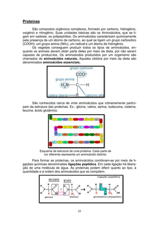 22
Proteínas
São compostos orgânicos complexos, formado por carbono, hidrogênio,
oxigênio e nitrogênio. Suas unidades básicas são os Aminoácidos, que se li-
gam em cadeias, os polipeptídios. Os aminoácidos caracterizam quimicamente
pela presença de um átomo de carbono, ao qual se ligam um grupo carboxílico
(COOH), um grupo amina (NH2), um radical e um átomo de hidrogênio.
Os vegetais conseguem produzir todos os tipos de aminoácidos, en-
quanto os animais devem obter parte deles por meio da dieta, por não serem
capazes de produzi-los. Os aminoácidos produzidos por um organismo são
chamados de aminoácidos naturais. Aqueles obtidos por meio da dieta são
denominados aminoácidos essenciais.
São conhecidos cerca de vinte aminoácidos que rotineiramente partici-
pam da estrutura das proteínas. Ex.: glicina, valina, serina, isoleucina, cisteina,
leucina, ácido glutâmico.
Para formar as proteínas, os aminoácidos combinam-se por meio de li-
gações químicas denominadas ligações peptídica. Em cada ligação há libera-
ção de uma molécula de água. As proteínas podem diferir quanto ao tipo, à
quantidade e à ordem dos aminoácidos que as compõem.
Esquema da estrutura de uma proteína. Cada parte de
cor diferente representa um aminoácido distinto.
 