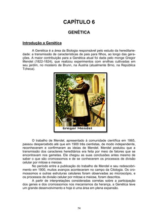 74
CAPÍTULO 6
GENÉTICA
Introdução a Genética
A Genética é a área da Biologia responsável pelo estudo da hereditarie-
dade: a transmissão de características de pais para filhos, ao longo das gera-
ções. A maior contribuição para a Genética atual foi dada pelo monge Gregor
Mendel (1822-1824), que realizou experimentos com ervilhas cultivadas em
seu jardim, no mosteiro de Brunn, na Áustria (atualmente Brno, na República
Tcheca).
O trabalho de Mendel, apresentado à comunidade científica em 1865,
passou despercebido até que em 1900 três cientistas, de modo independente,
reconheceram e confirmaram as ideias de Mendel. Mendel postulou que a
transmissão dos caracteres hereditários era feita por meio de fatores que se
encontravam nos gametas. Ele chegou as suas conclusões antes mesmo de
saber o que são cromossomos e de se conhecerem os processos de divisão
celular por mitose e meiose.
No período entre a publicação do trabalho de Mendel e seu redescobri-
mento em 1900, muitos avanços aconteceram no campo da Citologia. Os cro-
mossomos e outras estruturas celulares foram observadas ao microscópio, e
os processos de divisão celular por mitose e meiose, foram descritos.
A partir de interpretações consideradas corretas sobre a participação
dos genes e dos cromossomos nos mecanismos da herança, a Genética teve
um grande desenvolvimento e hoje é uma área em plena expansão.
 