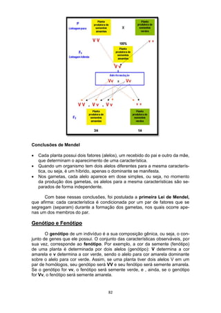 82
Conclusões de Mendel
 Cada planta possui dois fatores (alelos), um recebido do pai e outro da mãe,
que determinam o aparecimento de uma característica.
 Quando um organismo tem dois alelos diferentes para a mesma caracterís-
tica, ou seja, é um híbrido, apenas o dominante se manifesta.
 Nos gametas, cada alelo aparece em dose simples, ou seja, no momento
da produção dos gametas, os alelos para a mesma características são se-
parados de forma independente.
Com base nessas conclusões, foi postulada a primeira Lei de Mendel,
que afirma: cada característica é condicionada por um par de fatores que se
segregam (separam) durante a formação dos gametas, nos quais ocorre ape-
nas um dos membros do par.
Genótipo e Fenótipo
O genótipo de um indivíduo é a sua composição gênica, ou seja, o con-
junto de genes que ele possui. O conjunto das características observáveis, por
sua vez, corresponde ao fenótipo. Por exemplo, a cor da semente (fenótipo)
de uma planta é determinada por dois alelos (genótipo): V determina a cor
amarela e v determina a cor verde, sendo o alelo para cor amarela dominante
sobre o alelo para cor verde. Assim, se uma planta tiver dois alelos V em um
par de homólogos, seu genótipo será VV e seu fenótipo será semente amarela.
Se o genótipo for vv, o fenótipo será semente verde, e , ainda, se o genótipo
for Vv, o fenótipo será semente amarela.
 