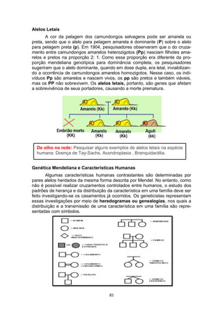 85
Alelos Letais
A cor da pelagem dos camundongos selvagens pode ser amarela ou
preta, sendo que o alelo para pelagem amarela é dominante (P) sobre o alelo
para pelagem preta (p). Em 1904, pesquisadores observaram que o do cruza-
mento entre camundongos amarelos heterozigotos (Pp) nasciam filhotes ama-
relos e pretos na proporção 2: 1. Como essa proporção era diferente da pro-
porção mendeliana genotípica para dominância completa, os pesquisadores
sugeriram que o alelo dominante, quando em dose dupla, era letal, inviabilizan-
do a ocorrência de camundongos amarelos homozigotos. Nesse caso, os indi-
víduos Pp são amarelos e nascem vivos, os pp são pretos e também viáveis,
mas os PP não sobrevivem. Os alelos letais, portanto, são genes que afetam
a sobrevivência de seus portadores, causando a morte prematura.
Genética Mendeliana e Características Humanas
Algumas características humanas contrastantes são determinadas por
pares alelos herdados da mesma forma descrita por Mendel. No entanto, como
não é possível realizar cruzamentos controlados entre humanos, o estudo dos
padrões de herança e da distribuição da característica em uma família deve ser
feito investigando-se os casamentos já ocorridos. Os geneticistas representam
essas investigações por meio de heredogramas ou genealogias, nos quais a
distribuição e a transmissão de uma característica em uma família são repre-
sentadas com símbolos.
De olho na rede: Pesquisar alguns exemplos de alelos letais na espécie
humana: Doença de Tay-Sachs, Acondroplasia , Branquidactilia.
 