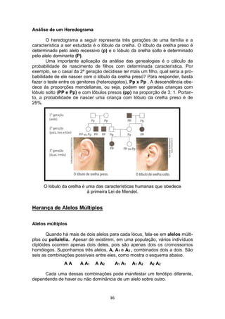 86
Análise de um Heredograma
O heredograma a seguir representa três gerações de uma família e a
característica a ser estudada é o lóbulo da orelha. O lóbulo da orelha preso é
determinado pelo alelo recessivo (p) e o lóbulo da orelha solto é determinado
pelo alelo dominante (P).
Uma importante aplicação da análise das genealogias é o cálculo da
probabilidade de nascimento de filhos com determinada característica. Por
exemplo, se o casal da 2ª geração decidisse ter mais um filho, qual seria a pro-
babilidade de ele nascer com o lóbulo da orelha preso? Para responder, basta
fazer o teste entre os genitores (heterozigotos), Pp x Pp . A descendência obe-
dece às proporções mendelianas, ou seja, podem ser geradas crianças com
lóbulo solto (PP e Pp) e com lóbulos presos (pp) na proporção de 3: 1. Portan-
to, a probabilidade de nascer uma criança com lóbulo da orelha preso é de
25%.
O lóbulo da orelha é uma das características humanas que obedece
à primeira Lei de Mendel.
Herança de Alelos Múltiplos
Alelos múltiplos
Quando há mais de dois alelos para cada lócus, fala-se em alelos múlti-
plos ou polialelia. Apesar de existirem, em uma população, vários indivíduos
diplóides ocorrem apenas dois deles, pois são apenas dois os cromossomos
homólogos. Suponhamos três alelos, A, A1 e A2 , combinados dois a dois. São
seis as combinações possíveis entre eles, como mostra o esquema abaixo.
A A A A1 A A2 A1 A1 A1 A2 A2 A2
Cada uma dessas combinações pode manifestar um fenótipo diferente,
dependendo de haver ou não dominância de um alelo sobre outro.
 