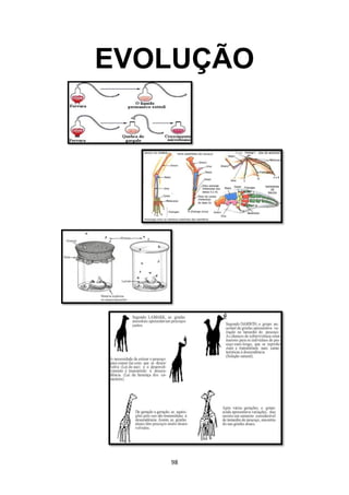 apostila-de-biologia-2015_3.pdf