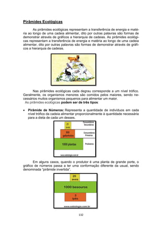 132
Pirâmides Ecológicas
As pirâmides ecológicas representam a transferência de energia e maté-
ria ao longo de uma cadeia alimentar, dito por outras palavras são formas de
demonstrar através de gráficos a hierarquia de cadeias. As pirâmides ecológi-
cas representam a transferência de energia e matéria ao longo de uma cadeia
alimentar, dito por outras palavras são formas de demonstrar através de gráfi-
cos a hierarquia de cadeias.
Nas pirâmides ecológicas cada degrau corresponde a um nível trófico.
Geralmente, os organismos menores são comidos pelos maiores, sendo ne-
cessários muitos organismos pequenos para alimentar um maior.
As pirâmides ecológicas podem ser de três tipos:
 Pirâmide de Números: Representa a quantidade de indivíduos em cada
nível trófico da cadeia alimentar proporcionalmente à quantidade necessária
para a dieta de cada um desses.
Em alguns casos, quando o produtor é uma planta de grande porte, o
gráfico de números passa a ter uma conformação diferente da usual, sendo
denominada “pirâmide invertida”.
 