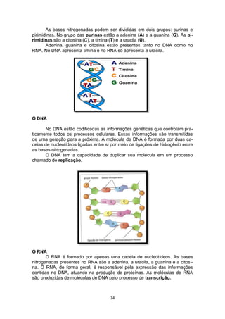 24
As bases nitrogenadas podem ser divididas em dois grupos: purinas e
pirimidinas. No grupo das purinas estão a adenina (A) e a guanina (G). As pi-
rimidinas são a citosina (C), a timina (T) e a uracila (U).
Adenina, guanina e citosina estão presentes tanto no DNA como no
RNA. No DNA apresenta timina e no RNA só apresenta a uracila.
O DNA
No DNA estão codificadas as informações genéticas que controlam pra-
ticamente todos os processos celulares. Essas informações são transmitidas
de uma geração para a próxima. A molécula de DNA é formada por duas ca-
deias de nucleotídeos ligadas entre si por meio de ligações de hidrogênio entre
as bases nitrogenadas.
O DNA tem a capacidade de duplicar sua molécula em um processo
chamado de replicação.
O RNA
O RNA é formado por apenas uma cadeia de nucleotídeos. As bases
nitrogenadas presentes no RNA são a adenina, a uracila, a guanina e a citosi-
na. O RNA, de forma geral, é responsável pela expressão das informações
contidas no DNA, atuando na produção de proteínas. As moléculas de RNA
são produzidas de moléculas de DNA pelo processo de transcrição.
 