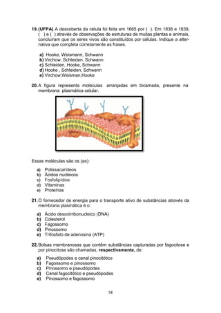 58
19.(UFPA) A descoberta da célula foi feita em 1665 por ( ). Em 1838 e 1839,
( ) e ( ) através de observações de estruturas de muitas plantas e animais,
concluíram que os seres vivos são constituídos por células. Indique a alter-
nativa que completa corretamente as frases.
a) Hooke, Weismann, Schwann
b) Virchow, Schleiden, Schwann
c) Schleiden, Hooke, Schwann
d) Hooke , Schleiden, Schwann
e) Virchow,Weisman,Hooke
20.A figura representa moléculas arranjadas em bicamada, presente na
membrana plasmática celular.
Essas moléculas são os (as):
a) Polissacarídeos
b) Ácidos nucleicos
c) Fosfolipídios
d) Vitaminas
e) Proteínas
21.O fornecedor de energia para o transporte ativo de substâncias através da
membrana plasmática é o:
a) Ácido desoxirribonucleico (DNA)
b) Colesterol
c) Fagossomo
d) Pinossomo
e) Trifosfato de adenosina (ATP)
22.Bolsas membranosas que contêm substâncias capturadas por fagocitose e
por pinocitose são chamadas, respectivamente, de:
a) Pseudópodes e canal pinocitótico
b) Fagossomo e pinossomo
c) Pinossomo e pseudópodes
d) Canal fagocitótico e pseudópodes
e) Pinossomo e fagossomo
 