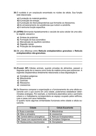 60
30.O nucléolo é um corpúsculo encontrado no núcleo da célula. Sua função
está relacionada:
a) À proteção do material genético.
b) À produção de energia.
c) À produção de ribonucleoproteínas que formarão os ribossomos.
d) Ao armazenamento de substâncias que nutrem a cariolinfa.
e) A nenhuma função específica.
31.(UFRN) Eliminando hipoteticamente o vacúolo de sulco celular de uma célu-
la vegetal, cessará a:
a) Síntese de proteínas
b) Formação do fuso acromático
c) Manutenção do equilíbrio osmótico
d) Digestão celular
e) Produção de cloroplastos
32.Dê uma diferença entre Retículo endoplasmático granuloso e Retículo
endoplasmático não-granuloso.
_____________________________________________________________
_____________________________________________________________
_____________________________________________________________
_____________________________________________________________
33.(Fuvest- SP) Células animais, quando privadas de alimentos, passam a
degradar parte de si mesma como fonte de matéria prima para sobreviver. A
organela citoplasmática diretamente relacionada a essa degradação é:
a) Complexo golgiense
b) Mitocôndrias
c) Centríolo
d) Ribossomo
e) Lisossomos
34.Se fôssemos comparar a organização e o funcionamento de uma célula eu-
carionte com o que ocorre em uma cidade, poderíamos estabelecer deter-
minadas analogias. Por exemplo, a membrana plasmática seria o perímetro
urbano e o hialoplasma corresponderia ao espaço ocupado pelos edifícios,
ruas e casas com seus habitantes.
O quadro reúne algumas similaridades funcionais entre cidade e célula eu-
carionte.
Cidade Célula Eucarionte
I. Ruas e avenidas 1. Mitocôndrias
II. Silos e armazéns 2. Lisossomos
III. Central elétrica (energética) 3. Retículo Endoplasmático
IV. Casas com aquecimento solar 4. Complexo Golgiense
V. Restaurantes e lanchonetes 5. Cloroplastos
 