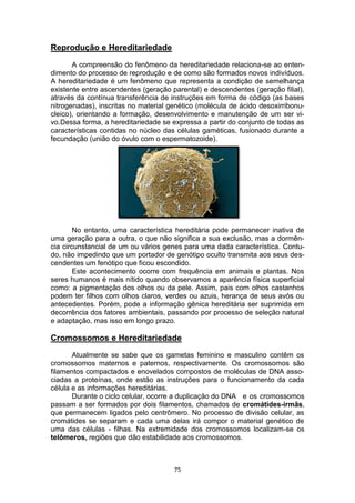 75
Reprodução e Hereditariedade
A compreensão do fenômeno da hereditariedade relaciona-se ao enten-
dimento do processo de reprodução e de como são formados novos indivíduos.
A hereditariedade é um fenômeno que representa a condição de semelhança
existente entre ascendentes (geração parental) e descendentes (geração filial),
através da contínua transferência de instruções em forma de código (as bases
nitrogenadas), inscritas no material genético (molécula de ácido desoxirribonu-
cleico), orientando a formação, desenvolvimento e manutenção de um ser vi-
vo.Dessa forma, a hereditariedade se expressa a partir do conjunto de todas as
características contidas no núcleo das células gaméticas, fusionado durante a
fecundação (união do óvulo com o espermatozoide).
No entanto, uma característica hereditária pode permanecer inativa de
uma geração para a outra, o que não significa a sua exclusão, mas a dormên-
cia circunstancial de um ou vários genes para uma dada característica. Contu-
do, não impedindo que um portador de genótipo oculto transmita aos seus des-
cendentes um fenótipo que ficou escondido.
Este acontecimento ocorre com frequência em animais e plantas. Nos
seres humanos é mais nítido quando observamos a aparência física superficial
como: a pigmentação dos olhos ou da pele. Assim, pais com olhos castanhos
podem ter filhos com olhos claros, verdes ou azuis, herança de seus avós ou
antecedentes. Porém, pode a informação gênica hereditária ser suprimida em
decorrência dos fatores ambientais, passando por processo de seleção natural
e adaptação, mas isso em longo prazo.
Cromossomos e Hereditariedade
Atualmente se sabe que os gametas feminino e masculino contêm os
cromossomos maternos e paternos, respectivamente. Os cromossomos são
filamentos compactados e enovelados compostos de moléculas de DNA asso-
ciadas a proteínas, onde estão as instruções para o funcionamento da cada
célula e as informações hereditárias.
Durante o ciclo celular, ocorre a duplicação do DNA e os cromossomos
passam a ser formados por dois filamentos, chamados de cromátides-irmãs,
que permanecem ligados pelo centrômero. No processo de divisão celular, as
cromátides se separam e cada uma delas irá compor o material genético de
uma das células - filhas. Na extremidade dos cromossomos localizam-se os
telômeros, regiões que dão estabilidade aos cromossomos.
 