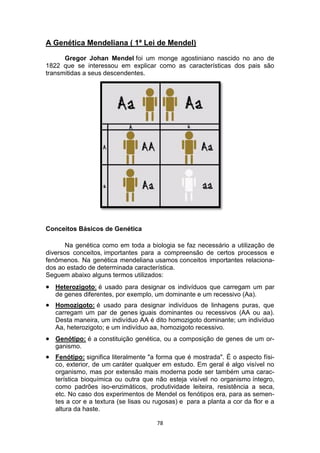 78
A Genética Mendeliana ( 1ª Lei de Mendel)
Gregor Johan Mendel foi um monge agostiniano nascido no ano de
1822 que se interessou em explicar como as características dos pais são
transmitidas a seus descendentes.
Conceitos Básicos de Genética
Na genética como em toda a biologia se faz necessário a utilização de
diversos conceitos, importantes para a compreensão de certos processos e
fenômenos. Na genética mendeliana usamos conceitos importantes relaciona-
dos ao estado de determinada característica.
Seguem abaixo alguns termos utilizados:
 Heterozigoto: é usado para designar os indivíduos que carregam um par
de genes diferentes, por exemplo, um dominante e um recessivo (Aa).
 Homozigoto: é usado para designar indivíduos de linhagens puras, que
carregam um par de genes iguais dominantes ou recessivos (AA ou aa).
Desta maneira, um indivíduo AA é dito homozigoto dominante; um indivíduo
Aa, heterozigoto; e um indivíduo aa, homozigoto recessivo.
 Genótipo: é a constituição genética, ou a composição de genes de um or-
ganismo.
 Fenótipo: significa literalmente "a forma que é mostrada". É o aspecto físi-
co, exterior, de um caráter qualquer em estudo. Em geral é algo visível no
organismo, mas por extensão mais moderna pode ser também uma carac-
terística bioquímica ou outra que não esteja visível no organismo íntegro,
como padrões iso-enzimáticos, produtividade leiteira, resistência a seca,
etc. No caso dos experimentos de Mendel os fenótipos era, para as semen-
tes a cor e a textura (se lisas ou rugosas) e para a planta a cor da flor e a
altura da haste.
 
