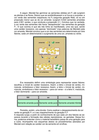 81
A seguir, Mendel fez germinar as sementes obtidas em F1 até surgirem
as plantas e as flores. Deixou que se autofertilizassem e aí houve a surpresa: a
cor verde das sementes reapareceu na F2 (segunda geração filial), só eu em
proporção menor que as de cor amarela: surgiram 6.022 sementes amarelas
para 2.001 verdes, o que conduzia a proporção 3:1. Concluiu que na verdade,
a cor verde das sementes não havia “desaparecido” nas sementes da geração
F1. O que ocorreu é que ela não tinha se manifestado, uma vez que, sendo
uma caráter recessivo, era apenas “dominado” (nas palavras de Mendel) pela
cor amarela. Mendel concluiu que a cor das sementes era determinada por dois
fatores, cada um determinando o surgimento de uma cor, amarela ou verde.
Era necessário definir uma simbologia para representar esses fatores:
escolheu a inicial do caráter recessivo. Assim, a letra v (inicial de verde), mi-
núscula, simbolizava o fator recessivo. Assim, a letra v (inicial de verde), mi-
núscula, simbolizava o fator recessivo – para cor verse – e a letra V, maiúscula,
o fator dominante – para cor amarela.
VV vv Vv
Semente amarela pura Semente verde pura Semente amarela híbrida
Persistia, porém, uma dúvida: Como explicar o desaparecimento da cor
verde na geração F1 e o seu reaparecimento na geração F2?
A resposta surgiu a partir do conhecimento de que cada um dos fatores se se-
parava durante a formação das células reprodutoras, os gametas. Dessa for-
ma, podemos entender como o material hereditário passa de uma geração para
a outra. Acompanhe nos esquemas abaixo os procedimentos adorados por
Mendel com relação ao caráter cor da semente em ervilhas.
 