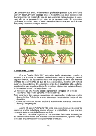 Obs.: Observe que em A, inicialmente as girafas têm pescoço curto e de "tanto
usarem" desenvolveram pescoço longo e herdaram para seus descendentes
(Lamarckismo). Na imagem B, nota-se que as girafas mais adaptadas a sobre-
viver são as de pescoço longo, logo, as de pescoço curto não competem
igualmente e morrem havendo assim a escolha da natureza pela espécie mais
adaptada (Darwinismo/seleção natural).
A Teoria de Darwin
Charles Darwin (1809-1882), naturalista inglês, desenvolveu uma teoria
evolutiva que é a base da moderna teoria sintética: a teoria da seleção natural.
Segundo Darwin, os organismos mais bem adaptados ao meio têm maiores
chances de sobrevivência do que os menos adaptados, deixando um número
maior de descendentes. Os organismos mais bem adaptados são, portanto,
selecionados para aquele ambiente.Os princípios básicos das ideias de Darwin
podem ser resumidos nos seguintes modos:
Os indivíduos de uma mesma espécie apresentam variações em todos os
caracteres, não sendo, portanto, idênticos entre si.
Todo organismo tem grande capacidade de reprodução, produzindo muitos
descendentes. Entretanto, apenas alguns dos descendentes chegam à ida-
de adulta.
O número de indivíduos de uma espécie é mantido mais ou menos constan-te
ao longo das gerações.
Assim, há grande "luta" pela vida entre os descendentes, pois apesar de
nascerem muitos indivíduos poucos atingem a maturidade, o que mantém
constante o número de indivíduos na espécie.
Na "luta" pela vida, organismos com variações favoráveis ás condições
do ambiente onde vivem têm maiores chances de sobreviver, quando compa-
rados aos organismos com variações menos favoráveis.
103
 