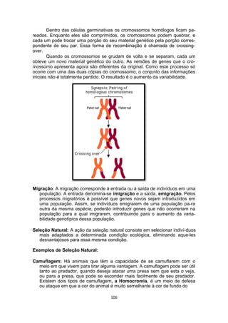 Dentro das células germinativas os cromossomos homólogos ficam pa-
reados. Enquanto eles são comprimidos, os cromossomos podem quebrar, e
cada um pode trocar uma porção do seu material genético pela porção corres-
pondente de seu par. Essa forma de recombinação é chamada de crossing-
over.
Quando os cromossomos se grudam de volta e se separam, cada um
obteve um novo material genético do outro. As versões de genes que o cro-
mossomo apresenta agora são diferentes da original. Como este processo só
ocorre com uma das duas cópias do cromossomo, o conjunto das informações
iniciais não é totalmente perdido. O resultado é o aumento da variabilidade.
Migração: A migração corresponde à entrada ou à saída de indivíduos em uma
população. A entrada denomina-se imigração e a saída, emigração. Pelos
processos migratórios é possível que genes novos sejam introduzidos em
uma população. Assim, se indivíduos emigrarem de uma população pa-ra
outra da mesma espécie, poderão introduzir genes que não ocorreriam na
população para a qual imigrarem, contribuindo para o aumento da varia-
bilidade genotípica dessa população.
Seleção Natural: A ação da seleção natural consiste em selecionar indiví-duos
mais adaptados a determinada condição ecológica, eliminando aque-les
desvantajosos para essa mesma condição.
Exemplos de Seleção Natural:
Camuflagem: Há animais que têm a capacidade de se camuflarem com o
meio em que vivem para tirar alguma vantagem. A camuflagem pode ser útil
tanto ao predador, quando deseja atacar uma presa sem que esta o veja,
ou para a presa, que pode se esconder mais facilmente de seu predador.
Existem dois tipos de camuflagem, a Homocromia, é um meio de defesa
ou ataque em que a cor do animal é muito semelhante à cor de fundo do
106
 