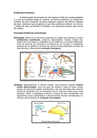 Evidências Evolutivas
A determinação da duração de uma espécie é feita em escala geológica
e o que se considera antigo ou recente, em termos evolutivos, é contado em
milhares de anos. Enquanto as atuais espécies surgiram nos últimos milhares
de anos, calcula-se que os gêneros a que elas pertencem tenham, no mínimo,
1 milhão de anos; as famílias,15 milhões, e as respectivas ordens, pelo menos
50 milhões.
Principais Evidências da Evolução:
Homologia: Refere-se a estruturas corporais ou órgãos que possuem ori-gem
embrionária semelhante, podendo desempenhar mesma função (na-
dadeira de uma baleia e nadadeira de um golfinho) ou funções diferentes,
como as asas de um morcego e os braços de um humano, e nadadeiras
peitorais de um golfinho e as asas de uma ave. Essa adaptação a modos de
vida distintos é denominada evolução divergente.
Analogia: Desempenham a mesma função, mas possuem origens embrio-
nárias diferenciadas, como as asas de insetos e asas de aves. Estas,
apesar de exercerem papéis semelhantes, não são derivadas das mesmas
estruturas presentes em um ancestral comum exclusivo entre essas duas
espécies. Assim, a adaptação evolutiva a modos de vida semelhantes leva
organismos pouco aparentados a desenvolverem formas semelhantes, fe-
nômeno este chamado de evolução convergente.
109
 