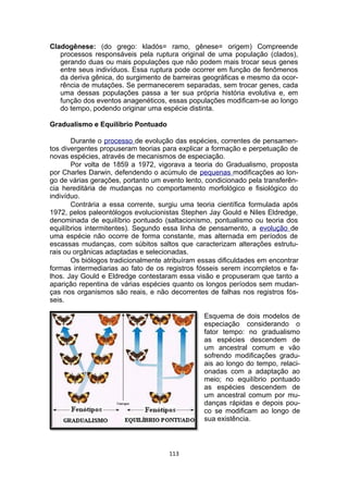 Cladogênese: (do grego: kladós= ramo, gênese= origem) Compreende
processos responsáveis pela ruptura original de uma população (clados),
gerando duas ou mais populações que não podem mais trocar seus genes
entre seus indivíduos. Essa ruptura pode ocorrer em função de fenômenos
da deriva gênica, do surgimento de barreiras geográficas e mesmo da ocor-
rência de mutações. Se permanecerem separadas, sem trocar genes, cada
uma dessas populações passa a ter sua própria história evolutiva e, em
função dos eventos anagenéticos, essas populações modificam-se ao longo
do tempo, podendo originar uma espécie distinta.
Gradualismo e Equilíbrio Pontuado
Durante o processo de evolução das espécies, correntes de pensamen-
tos divergentes propuseram teorias para explicar a formação e perpetuação de
novas espécies, através de mecanismos de especiação.
Por volta de 1859 a 1972, vigorava a teoria do Gradualismo, proposta
por Charles Darwin, defendendo o acúmulo de pequenas modificações ao lon-
go de várias gerações, portanto um evento lento, condicionado pela transferên-
cia hereditária de mudanças no comportamento morfológico e fisiológico do
indivíduo.
Contrária a essa corrente, surgiu uma teoria científica formulada após
1972, pelos paleontólogos evolucionistas Stephen Jay Gould e Niles Eldredge,
denominada de equilíbrio pontuado (saltacionismo, pontualismo ou teoria dos
equilíbrios intermitentes). Segundo essa linha de pensamento, a evolução de
uma espécie não ocorre de forma constante, mas alternada em períodos de
escassas mudanças, com súbitos saltos que caracterizam alterações estrutu-
rais ou orgânicas adaptadas e selecionadas.
Os biólogos tradicionalmente atribuíram essas dificuldades em encontrar
formas intermediarias ao fato de os registros fósseis serem incompletos e fa-
lhos. Jay Gould e Eldredge contestaram essa visão e propuseram que tanto a
aparição repentina de várias espécies quanto os longos períodos sem mudan-
ças nos organismos são reais, e não decorrentes de falhas nos registros fós-
seis.
Esquema de dois modelos de
especiação considerando o
fator tempo: no gradualismo
as espécies descendem de
um ancestral comum e vão
sofrendo modificações gradu-
ais ao longo do tempo, relaci-
onadas com a adaptação ao
meio; no equilíbrio pontuado
as espécies descendem de
um ancestral comum por mu-
danças rápidas e depois pou-
co se modificam ao longo de
sua existência.
113
 
