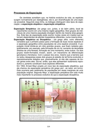 Processos de Especiação
Os cientistas acreditam que, na história evolutiva da vida, as espécies
surgem normalmente por cladogênese, isto é, por diversificação de uma espé-
cie ancestral. Seguindo essa linha, os biólogos distinguem dois tipos de espe-
ciação: a especiação alopática e especiação simpátrica.
Especiação Simpátrica: (do grego sun, juntos, e do latim pátria, local de
nascimento) ocorre em uma mesma região geográfica. Dois grupos de indi-
víduos de uma mesma população divergem dentro da mesma área geográ-
fica. Este tipo de especiação pode ocorrer muitas vezes em insetos que se
tornam dependentes de plantas hospedeiras diferentes, numa mesma área.
Especiação Alopátrica ou Dicopátrica : (do grego allós, outro diferente)
considera que o primeiro passo para a formação de duas novas espécies é
a separação geográfica entre populações de uma espécie ancestral. A po-
pulação inicial divide-se em dois grandes grupos, que ficam isolados geo-
graficamente, por exemplo, pela formação de um rio, aumento da densidade
arbórea de uma floresta, formação de uma montanha, entre outros. Os dois
grupos recém-formados iniciam, assim, um mecanismo de diferenciação
genotípica e fenotípica. Com o passar dos anos, mesmo que a barreira que
os isolou desapareça esses dois grupos já estarão de tal forma evoluídos e
reprodutivamente isolados que, possivelmente, já não são capazes de tro-
car genes entre eles. Diz-se, então, que elas apresentam isolamento repro-
dutivo e, portanto constituem duas espécies diferentes.
Em 1954, Ernest Mayr propôs um novo tipo de especiação alopátrica, que
ele chamou de especiação peripátrica (do grego peri , ao redor, em torno).
Esta ocorreria pelo isolamento de populações em áreas marginais de uma
população original. Segundo Mayr, a especiação peripátrica tem sido muito
mais importante no processo evolutivo do que a especiação dicopátrica.
114
 