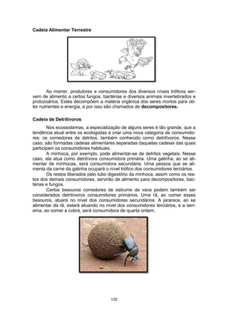 Cadeia Alimentar Terrestre
Ao morrer, produtores e consumidores dos diversos níveis tróficos ser-
vem de alimento a certos fungos, bactérias e diversos animais invertebrados e
protozoários. Estes decompõem a matéria orgânica dos seres mortos para ob-
ter nutrientes e energia, e por isso são chamados de decompositores.
Cadeia de Detritívoros
Nos ecossistemas, a especialização de alguns seres é tão grande, que a
tendência atual entre os ecologistas é criar uma nova categoria de consumido-
res: os comedores de detritos, também conhecido como detritívoros. Nesse
caso, são formadas cadeias alimentares separadas daquelas cadeias das quais
participam os consumidores habituais.
A minhoca, por exemplo, pode alimentar-se de detritos vegetais. Nesse
caso, ela atua como detritívora consumidora primária. Uma galinha, ao se ali-
mentar de minhocas, será consumidora secundária. Uma pessoa que se ali-
menta da carne da galinha ocupará o nível trófico dos consumidores terciários.
Os restos liberados pelo tubo digestório da minhoca, assim como os res-
tos dos demais consumidores, servirão de alimento para decompositores, bac-
térias e fungos.
Certos besouros comedores de estrume de vaca podem também ser
considerados detritívoros consumidores primários. Uma rã, ao comer esses
besouros, atuará no nível dos consumidores secundários. A jararaca, ao se
alimentar da rã, estará atuando no nível dos consumidores terciários, e a seri-
ema, ao comer a cobra, será consumidora de quarta ordem.
130
 