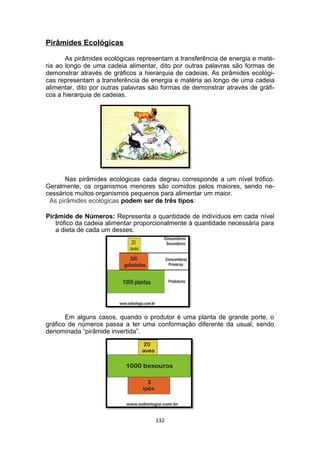 Pirâmides Ecológicas
As pirâmides ecológicas representam a transferência de energia e maté-
ria ao longo de uma cadeia alimentar, dito por outras palavras são formas de
demonstrar através de gráficos a hierarquia de cadeias. As pirâmides ecológi-
cas representam a transferência de energia e matéria ao longo de uma cadeia
alimentar, dito por outras palavras são formas de demonstrar através de gráfi-
cos a hierarquia de cadeias.
Nas pirâmides ecológicas cada degrau corresponde a um nível trófico.
Geralmente, os organismos menores são comidos pelos maiores, sendo ne-
cessários muitos organismos pequenos para alimentar um maior.
As pirâmides ecológicas podem ser de três tipos:
Pirâmide de Números: Representa a quantidade de indivíduos em cada nível
trófico da cadeia alimentar proporcionalmente à quantidade necessária para
a dieta de cada um desses.
Em alguns casos, quando o produtor é uma planta de grande porte, o
gráfico de números passa a ter uma conformação diferente da usual, sendo
denominada “pirâmide invertida”.
132
 