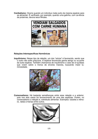 Canibalismo: Ocorre quando um indivíduo mata outro da mesma espécie para
se alimentar. É verificado, por exemplo, quando uma galinha, com ca-rência
de proteínas, devora seus filhotes.
Relações Interespecíficas Harmônicas
Inquilinismo: Nesse tipo de relação, um dos “sócios” é favorecido, sendo que
o outro não sofre prejuízos. A espécie favorecida ganha abrigo ou su-porte
da outra espécie. Também chamamos de inquilinismo o caso de or-quídeas
que vivem sobre o tronco de árvores maiores, buscando maior lu-
minosidade.
Comensalismo: Há bastante semelhanças entre essa relação e a anterior,
pois nos dois casos há favorecimento de uma das espécies. Porém, no
comensalismo a relação é, sobretudo alimentar. Exemplos: tubarão e rêmo-
ra , leões e hienas entre outros.
135
 