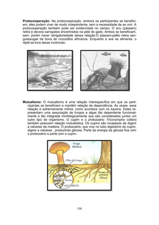 Protocooperação: Na protocooperação, embora os participantes se benefici-
em, eles podem viver de modo independente, sem a necessidade de se unir. A
protocooperação também pode ser evidenciada no campo. O anu (pássaro)
retira e devora carrapatos encontrados na pele do gado. Ambos se beneficiam,
sem, porém haver obrigatoriedade dessa relação.O pássaro-palito retira san-
guessugas da boca de crocodilos africanos. Enquanto a ave se alimenta, o
réptil se livra desse incômodo.
Mutualismo: O mutualismo é uma relação interespecífica em que os parti-
cipantes se beneficiam e mantêm relação de dependência. Às vezes, essa
relação é extremamente íntima, como acontece com os liquens. Estes re-
presentam uma associação de fungos e algas tão dependente funcional-
mente e tão integrada morfologicamente que são considerados juntos um
outro tipo de organismo. O cupim e o protozoário Triconympha collaris
também possuem relação mutualística. Os cupins são incapazes de digerir
a celulose da madeira. O protozoário, que vive no tubo digestório do cupim,
digere a celulose , produzindo glicose. Parte da energia da glicose fica com
o protozoário e parte com o cupim.
136
 
