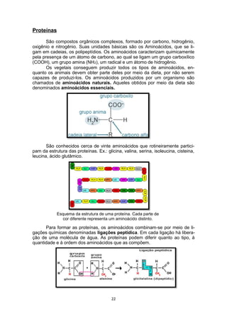 Proteínas
São compostos orgânicos complexos, formado por carbono, hidrogênio,
oxigênio e nitrogênio. Suas unidades básicas são os Aminoácidos, que se li-
gam em cadeias, os polipeptídios. Os aminoácidos caracterizam quimicamente
pela presença de um átomo de carbono, ao qual se ligam um grupo carboxílico
(COOH), um grupo amina (NH2), um radical e um átomo de hidrogênio.
Os vegetais conseguem produzir todos os tipos de aminoácidos, en-
quanto os animais devem obter parte deles por meio da dieta, por não serem
capazes de produzi-los. Os aminoácidos produzidos por um organismo são
chamados de aminoácidos naturais. Aqueles obtidos por meio da dieta são
denominados aminoácidos essenciais.
São conhecidos cerca de vinte aminoácidos que rotineiramente partici-
pam da estrutura das proteínas. Ex.: glicina, valina, serina, isoleucina, cisteina,
leucina, ácido glutâmico.
Esquema da estrutura de uma proteína. Cada parte de
cor diferente representa um aminoácido distinto.
Para formar as proteínas, os aminoácidos combinam-se por meio de li-
gações químicas denominadas ligações peptídica. Em cada ligação há libera-
ção de uma molécula de água. As proteínas podem diferir quanto ao tipo, à
quantidade e à ordem dos aminoácidos que as compõem.
22
 