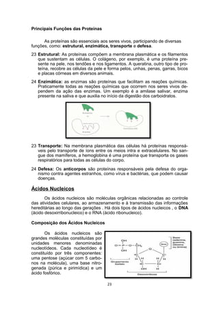 Principais Funções das Proteínas
As proteínas são essenciais aos seres vivos, participando de diversas
funções, como: estrutural, enzimática, transporte e defesa.
23 Estrutural: As proteínas compõem a membrana plasmática e os filamentos
que sustentam as células. O colágeno, por exemplo, é uma proteína pre-
sente na pele, nos tendões e nos ligamentos. A queratina, outro tipo de pro-
teína, recobre as células da pele e forma pelos, unhas, penas, garras, bicos
e placas córneas em diversos animais.
24 Enzimática: as enzimas são proteínas que facilitam as reações químicas.
Praticamente todas as reações químicas que ocorrem nos seres vivos de-
pendem da ação das enzimas. Um exemplo é a amilase salivar, enzima
presente na saliva e que auxilia no início da digestão dos carboidratos.
23 Transporte: Na membrana plasmática das células há proteínas responsá-
veis pelo transporte de íons entre os meios intra e extracelulares. No san-
gue dos mamíferos, a hemoglobina é uma proteína que transporta os gases
respiratórios para todas as células do corpo.
24 Defesa: Os anticorpos são proteínas responsáveis pela defesa do orga-
nismo contra agentes estranhos, como vírus e bactérias, que podem causar
doenças.
Ácidos Nucleicos
Os ácidos nucleicos são moléculas orgânicas relacionadas ao controle
das atividades celulares, ao armazenamento e à transmissão das informações
hereditárias ao longo das gerações . Há dois tipos de ácidos nucleicos , o DNA
(ácido desoxirribonucleico) e o RNA (ácido ribonucleico).
Composição dos Ácidos Nucleicos
Os ácidos nucleicos são
grandes moléculas constituídas por
unidades menores denominadas
nucleotídeos. Cada nucleotídeo é
constituído por três componentes:
uma pentose (açúcar com 5 carbo-
nos na molécula), uma base nitro-
genada (púrica e pirimídica) e um
ácido fosfórico.
23
 