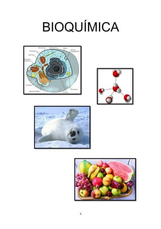 BIOQUÍMICA
5
 