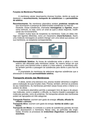 Funções da Membrana Plasmática
A membrana celular desempenha diversas funções, dentre as quais se
destacam o reconhecimento, transporte de substâncias e a permeabilida-
de seletiva.
Reconhecimento: Na membrana plasmática existem proteínas recepto-ras
que reconhecem a presença de determinadas substâncias no meio ex-
tracelular. Essas substâncias, chamadas mensageiras ou ligantes, atuam
como estímulo, ou seja, como um sinal ao qual a célula responde, modifi-
cando seu funcionamento.
Existem muitos tipos de receptores na membrana. Cada um deles inte-
rage com ligantes diferentes, como um mecanismo chave-fechadura. Assim,
uma molécula mensageira só poderá interagir com uma célula que possua, em
sua membrana, os receptores correspondentes.
Permeabilidade Seletiva: As trocas de substâncias entre a célula e o meio
externo são efetuadas pela membrana celular. Ao mesmo tempo em que
atua como uma barreira entre a célula e o meio externo, a membrana celu-
lar também permite a passagem de substâncias para dentro e para fora da
célula.
A propriedade da membrana de selecionar algumas substâncias que a
atravessam é chamada permeabilidade seletiva.
Transporte através das Membranas
A célula, sendo uma estrutura viva, precisa receber alimentos e oxigênio
para a realização de suas funções vitais. Precisa, também, eliminar os produtos
do seu metabolismo. As membranas permitem essas trocas entre o interior e o
exterior da célula.
A membrana plasmática permite a passagem livre de água e de peque-
nas moléculas, como o oxigênio, e dificulta, ou mesmo impede a passagem de
moléculas grandes, como as proteínas. Os transportes através das membranas
podem ser agrupados em três categorias:
Transporte Passivo: ocorrem sem gasto de energia: difusão, difusão fa-
cilitada e osmose;
Transporte Ativo: ocorrem com gasto de energia: bomba de sódio e po-
tássio;
Transporte em Bloco: é a entrada e a saída de substâncias grandes de-mais
para atravessarem a membrana. Nesse caso, as partículas são englo-
badas. Envolve os processos de endocitose (fagocitose e pinocitose) e
exocitose.
44
 