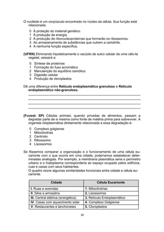 O nucléolo é um corpúsculo encontrado no núcleo da célula. Sua função está
relacionada:
0 À proteção do material genético.
1 À produção de energia.
2 À produção de ribonucleoproteínas que formarão os ribossomos.
3 Ao armazenamento de substâncias que nutrem a cariolinfa.
4 A nenhuma função específica.
(UFRN) Eliminando hipoteticamente o vacúolo de sulco celular de uma célu-la
vegetal, cessará a:
0 Síntese de proteínas
1 Formação do fuso acromático
2 Manutenção do equilíbrio osmótico
3 Digestão celular
4 Produção de cloroplastos
Dê uma diferença entre Retículo endoplasmático granuloso e Retículo
endoplasmático não-granuloso.
_____________________________________________________________
_____________________________________________________________
_____________________________________________________________
_____________________________________________________________
(Fuvest- SP) Células animais, quando privadas de alimentos, passam a
degradar parte de si mesma como fonte de matéria prima para sobreviver. A
organela citoplasmática diretamente relacionada a essa degradação é:
0 Complexo golgiense
1 Mitocôndrias
2 Centríolo
3 Ribossomo
4 Lisossomos
Se fôssemos comparar a organização e o funcionamento de uma célula eu-
carionte com o que ocorre em uma cidade, poderíamos estabelecer deter-
minadas analogias. Por exemplo, a membrana plasmática seria o perímetro
urbano e o hialoplasma corresponderia ao espaço ocupado pelos edifícios,
ruas e casas com seus habitantes.
O quadro reúne algumas similaridades funcionais entre cidade e célula eu-
carionte.
Cidade Célula Eucarionte
I. Ruas e avenidas 1. Mitocôndrias
II. Silos e armazéns 2. Lisossomos
III. Central elétrica (energética) 3. Retículo Endoplasmático
IV. Casas com aquecimento solar 4. Complexo Golgiense
V. Restaurantes e lanchonetes 5. Cloroplastos
60
 