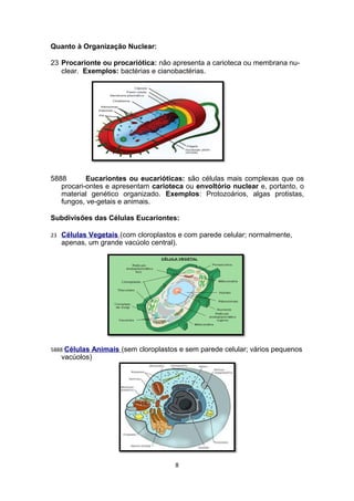 Quanto à Organização Nuclear:
23 Procarionte ou procariótica: não apresenta a carioteca ou membrana nu-
clear. Exemplos: bactérias e cianobactérias.
5888 Eucariontes ou eucarióticas: são células mais complexas que os
procari-ontes e apresentam carioteca ou envoltório nuclear e, portanto, o
material genético organizado. Exemplos: Protozoários, algas protistas,
fungos, ve-getais e animais.
Subdivisões das Células Eucariontes:
23 Células Vegetais (com cloroplastos e com parede celular; normalmente,
apenas, um grande vacúolo central).
5888 Células Animais (sem cloroplastos e sem parede celular; vários pequenos
vacúolos)
8
 