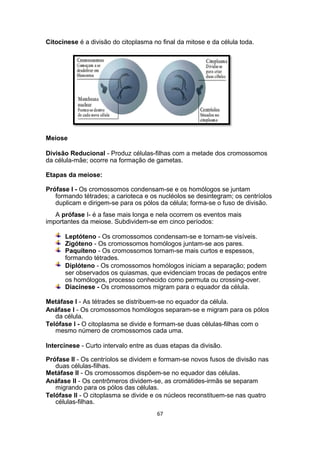 Citocinese é a divisão do citoplasma no final da mitose e da célula toda.
Meiose
Divisão Reducional - Produz células-filhas com a metade dos cromossomos
da célula-mãe; ocorre na formação de gametas.
Etapas da meiose:
Prófase I - Os cromossomos condensam-se e os homólogos se juntam
formando tétrades; a carioteca e os nucléolos se desintegram; os centríolos
duplicam e dirigem-se para os pólos da célula; forma-se o fuso de divisão.
A prófase I- é a fase mais longa e nela ocorrem os eventos mais
importantes da meiose. Subdividem-se em cinco períodos:
Leptóteno - Os cromossomos condensam-se e tornam-se visíveis.
Zigóteno - Os cromossomos homólogos juntam-se aos pares.
Paquíteno - Os cromossomos tornam-se mais curtos e espessos,
formando tétrades.
Diplóteno - Os cromossomos homólogos iniciam a separação; podem
ser observados os quiasmas, que evidenciam trocas de pedaços entre
os homólogos, processo conhecido como permuta ou crossing-over.
Diacinese - Os cromossomos migram para o equador da célula.
Metáfase I - As tétrades se distribuem-se no equador da célula.
Anáfase I - Os cromossomos homólogos separam-se e migram para os pólos
da célula.
Telófase I - O citoplasma se divide e formam-se duas células-filhas com o
mesmo número de cromossomos cada uma.
Intercinese - Curto intervalo entre as duas etapas da divisão.
Prófase II - Os centríolos se dividem e formam-se novos fusos de divisão nas
duas células-filhas.
Metáfase II - Os cromossomos dispõem-se no equador das células.
Anáfase II - Os centrômeros dividem-se, as cromátides-irmãs se separam
migrando para os pólos das células.
Telófase II - O citoplasma se divide e os núcleos reconstituem-se nas quatro
células-filhas.
67
 