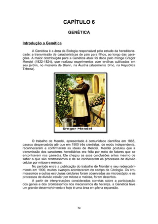 CAPÍTULO 6
GENÉTICA
Introdução a Genética
A Genética é a área da Biologia responsável pelo estudo da hereditarie-
dade: a transmissão de características de pais para filhos, ao longo das gera-
ções. A maior contribuição para a Genética atual foi dada pelo monge Gregor
Mendel (1822-1824), que realizou experimentos com ervilhas cultivadas em
seu jardim, no mosteiro de Brunn, na Áustria (atualmente Brno, na República
Tcheca).
O trabalho de Mendel, apresentado à comunidade científica em 1865,
passou despercebido até que em 1900 três cientistas, de modo independente,
reconheceram e confirmaram as ideias de Mendel. Mendel postulou que a
transmissão dos caracteres hereditários era feita por meio de fatores que se
encontravam nos gametas. Ele chegou as suas conclusões antes mesmo de
saber o que são cromossomos e de se conhecerem os processos de divisão
celular por mitose e meiose.
No período entre a publicação do trabalho de Mendel e seu redescobri-
mento em 1900, muitos avanços aconteceram no campo da Citologia. Os cro-
mossomos e outras estruturas celulares foram observadas ao microscópio, e os
processos de divisão celular por mitose e meiose, foram descritos.
A partir de interpretações consideradas corretas sobre a participação
dos genes e dos cromossomos nos mecanismos da herança, a Genética teve
um grande desenvolvimento e hoje é uma área em plena expansão.
74
 
